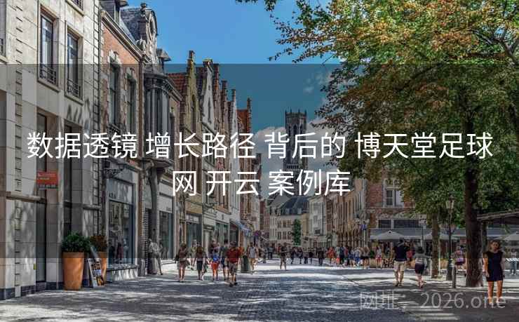 数据透镜 增长路径 背后的 博天堂足球网 开云 案例库 数据透镜 增长路径 背后的 博天堂足球网 开云 案例库