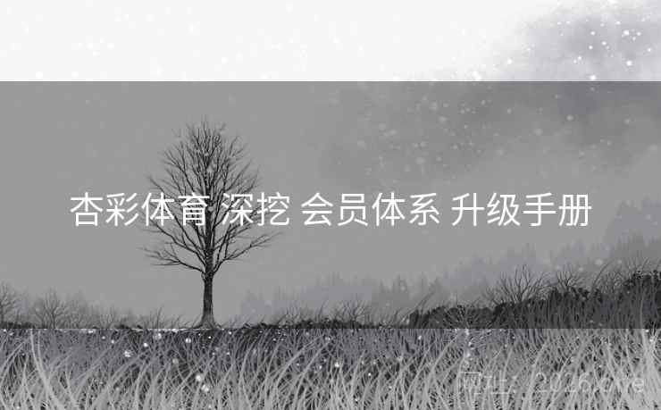 杏彩体育 深挖 会员体系 升级手册 杏彩体育 深挖 会员体系 升级手册