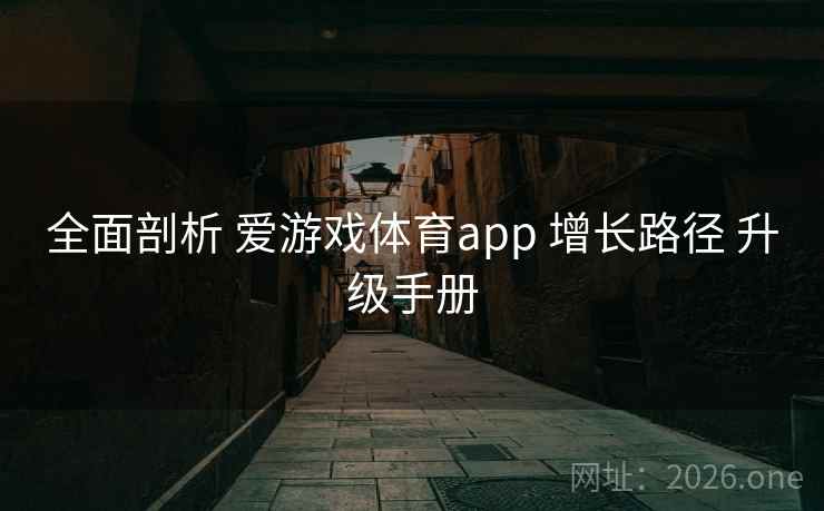 全面剖析 爱游戏体育app 增长路径 升级手册 全面剖析 爱游戏体育app 增长路径 升级手册