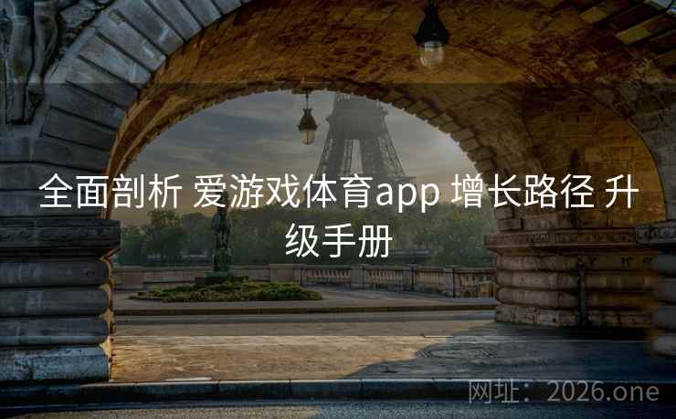 全面剖析 爱游戏体育app 增长路径 升级手册 全面剖析 爱游戏体育app 增长路径 升级手册