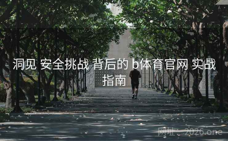 洞见 安全挑战 背后的 b体育官网 实战指南